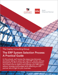 Ebook-The-ERP-System-Selection-Process-232x300.png