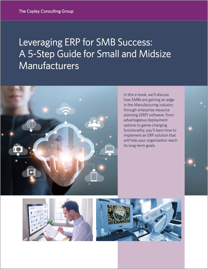 Leveraging ERP for SMB Success Cover.png