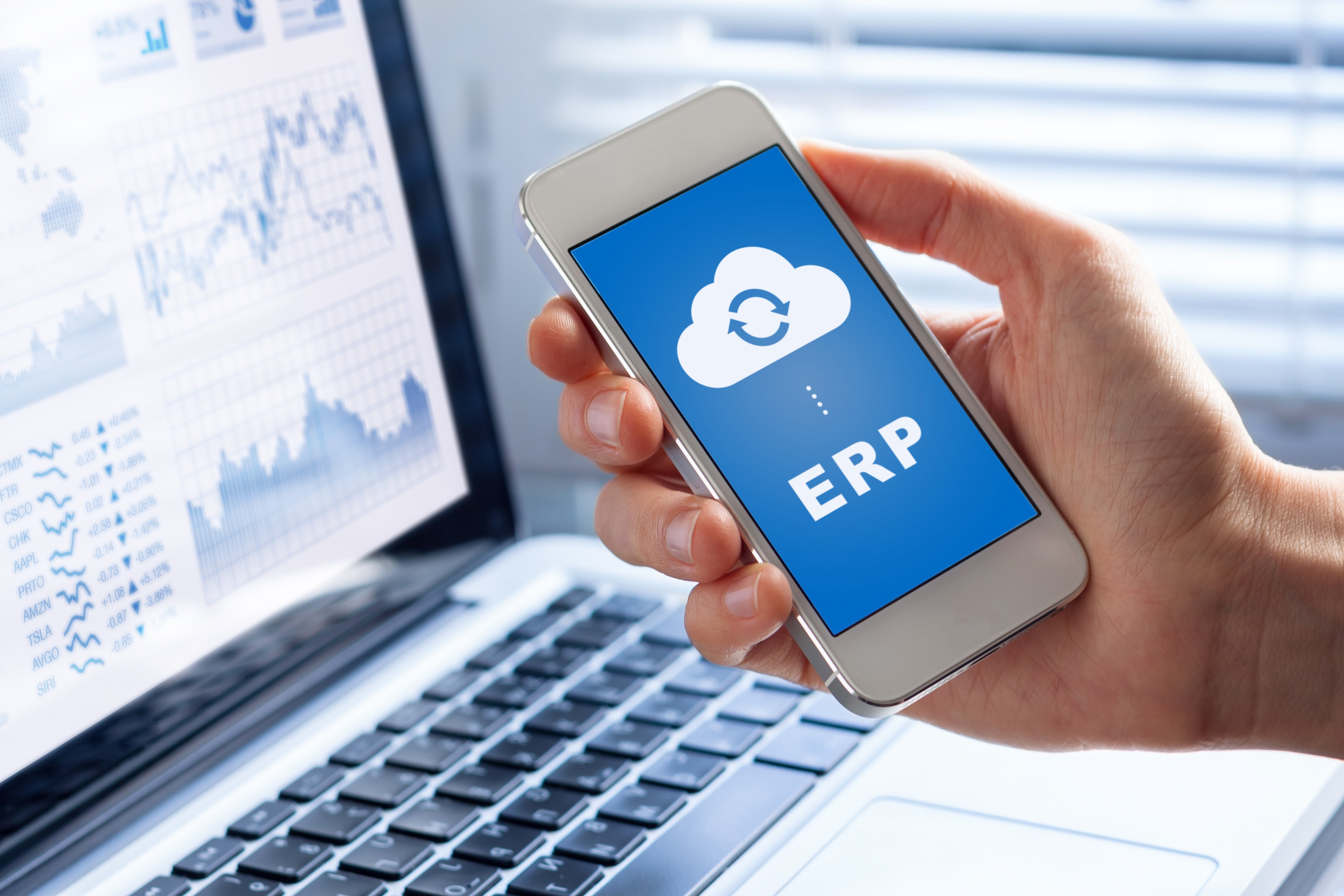 Tailoring Cloud ERP